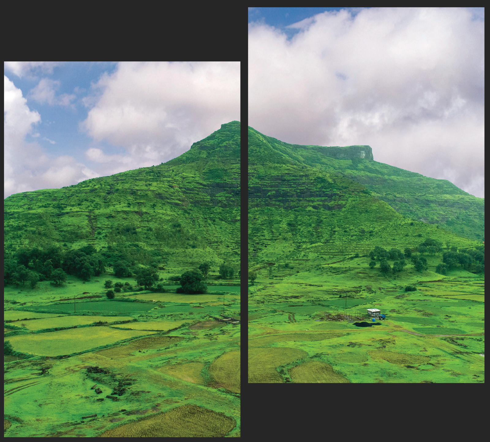 best_na_plots_igatpuri