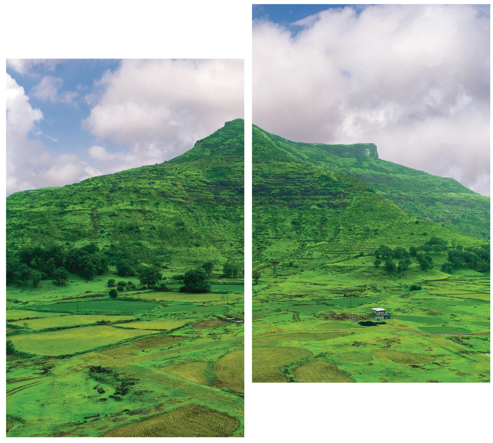 best_na_plots_igatpuri