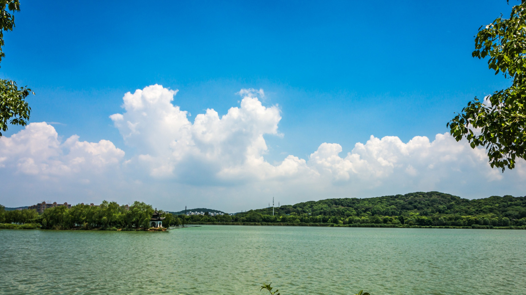 forestsyde_projects_in_igatpuri