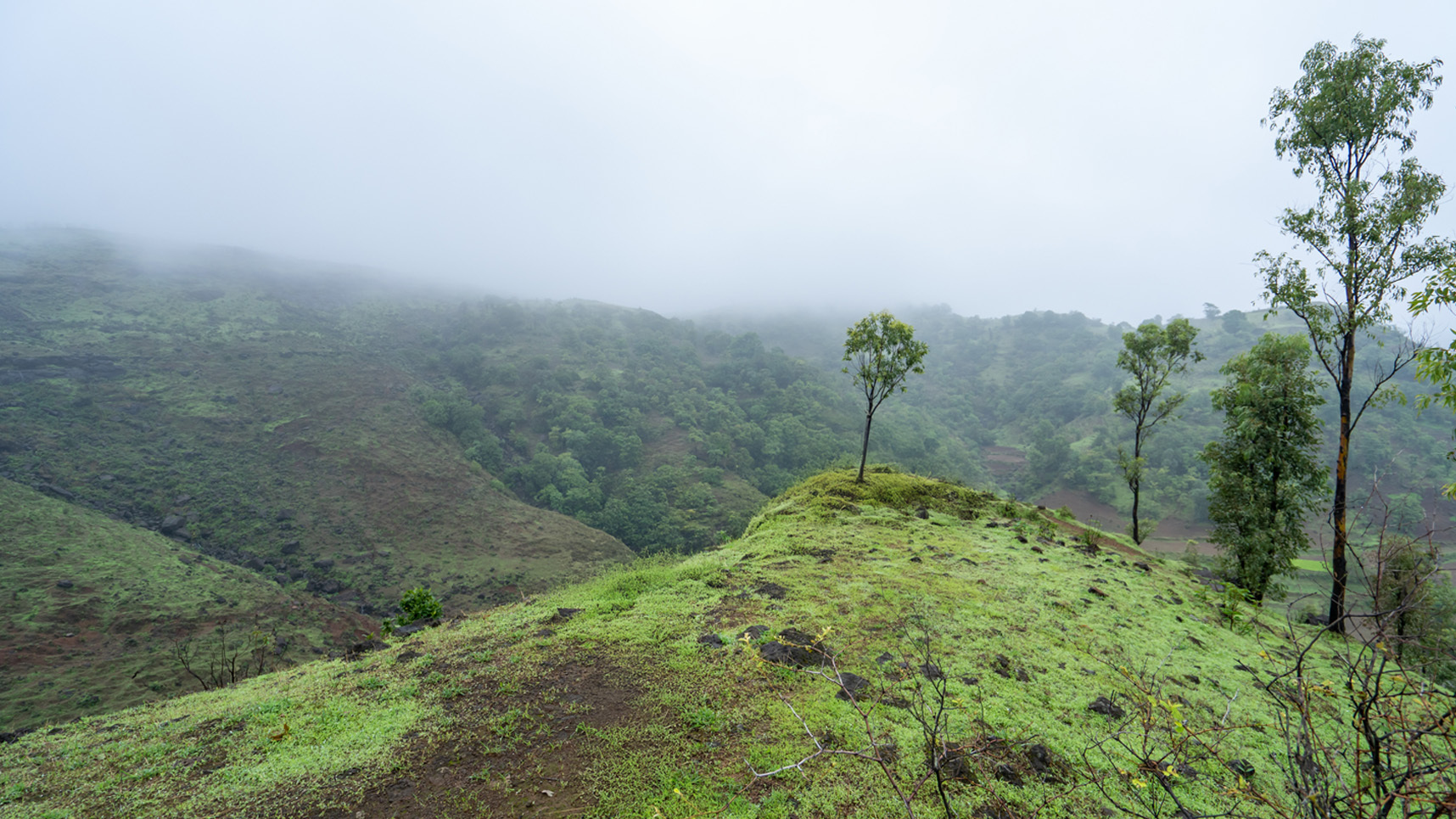 forestsyde_projects_in_igatpuri