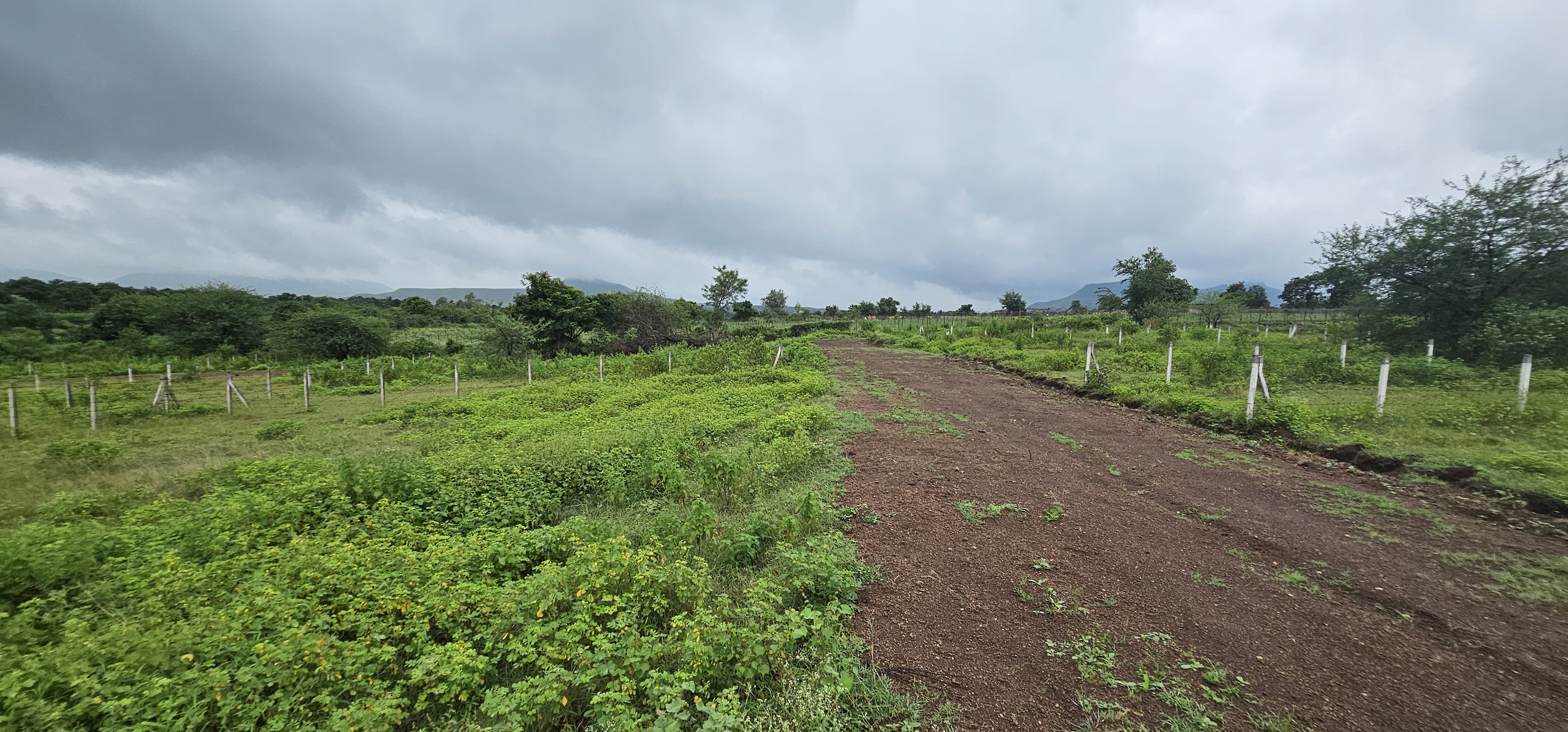 Scenic view plots in Nashik