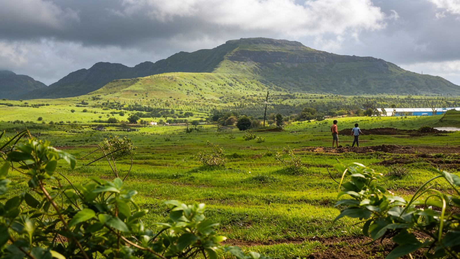 best_plots_near_hills_igatpuri